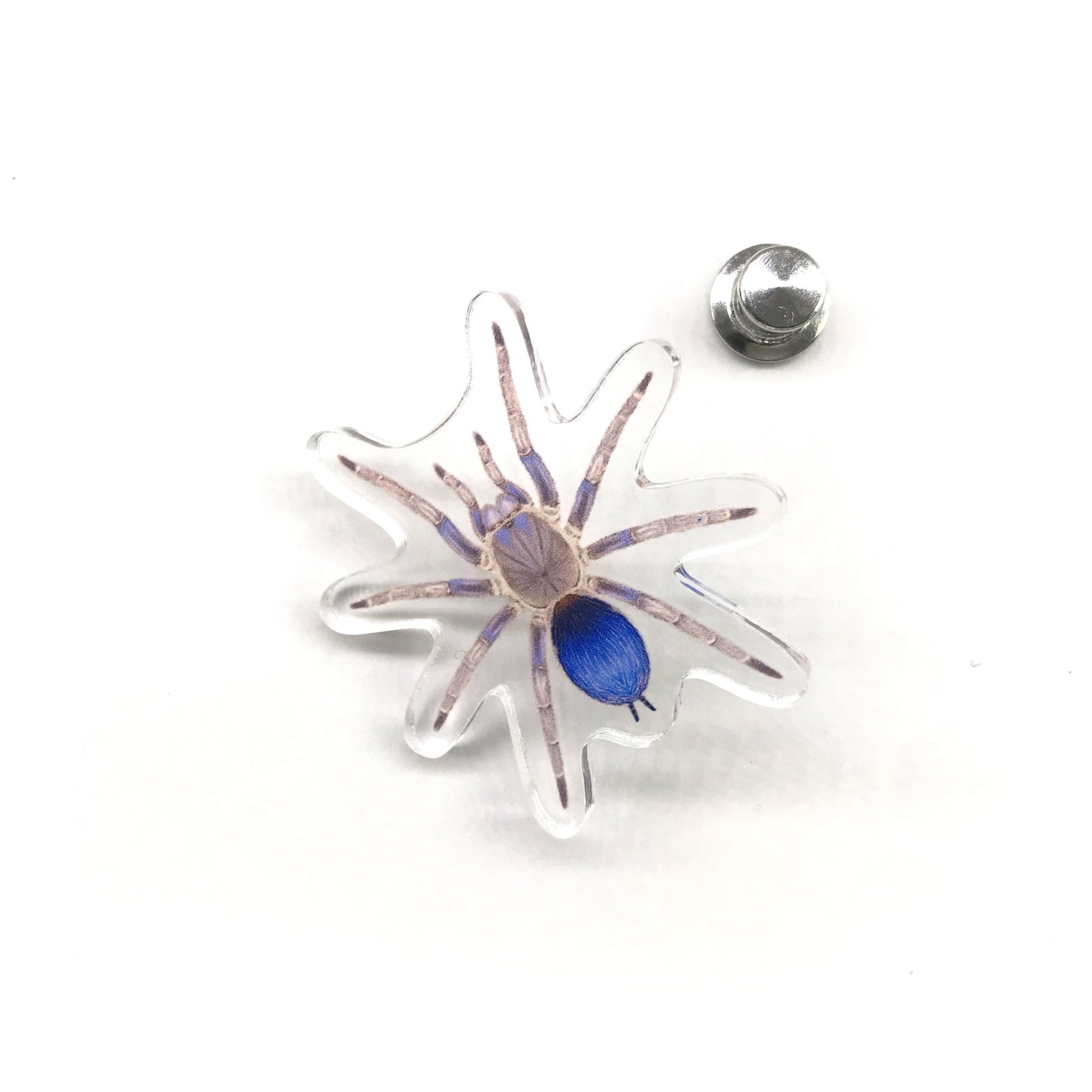 Acrylic pin featuring Colombian Blue Dwarf Tarantula (Spinosatibiapalpus sp. Blue) with detailed blue and black arachnid design.
