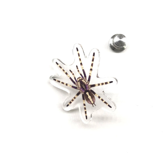 Salem Ornamental Tarantula (Poecilotheria formosa) Acrylic Pin from The Silk Ranch / The Morph Archive