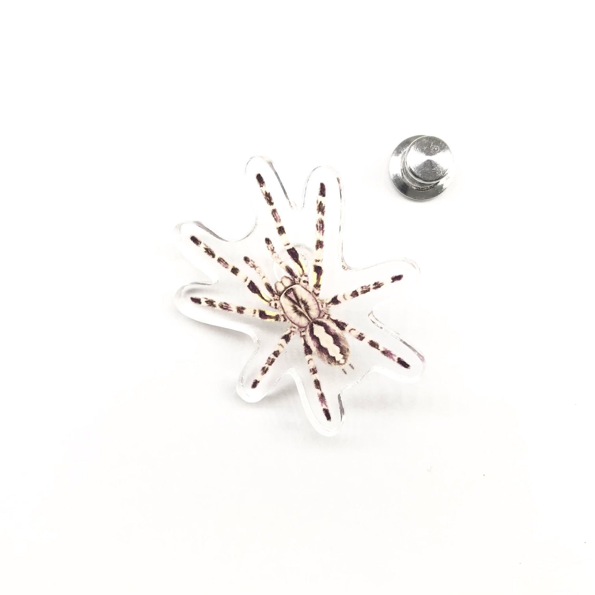 Acrylic pin featuring an Indian Ornamental Tarantula (Poecilotheria regalis) with detailed black and white spider design.