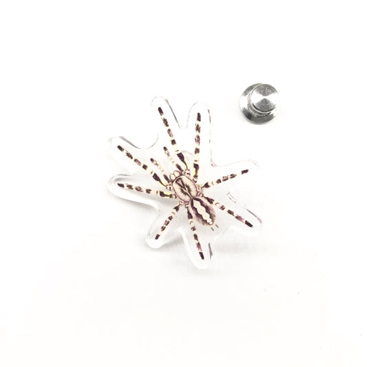 Indian Ornamental Tarantula (Poecilotheria regalis) Acrylic Pin from The Silk Ranch / The Morph Archive