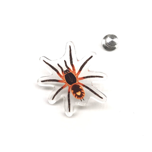 Lava Tarantula (Davus sp. Panama) Acrylic Pin from The Silk Ranch / The Morph Archive