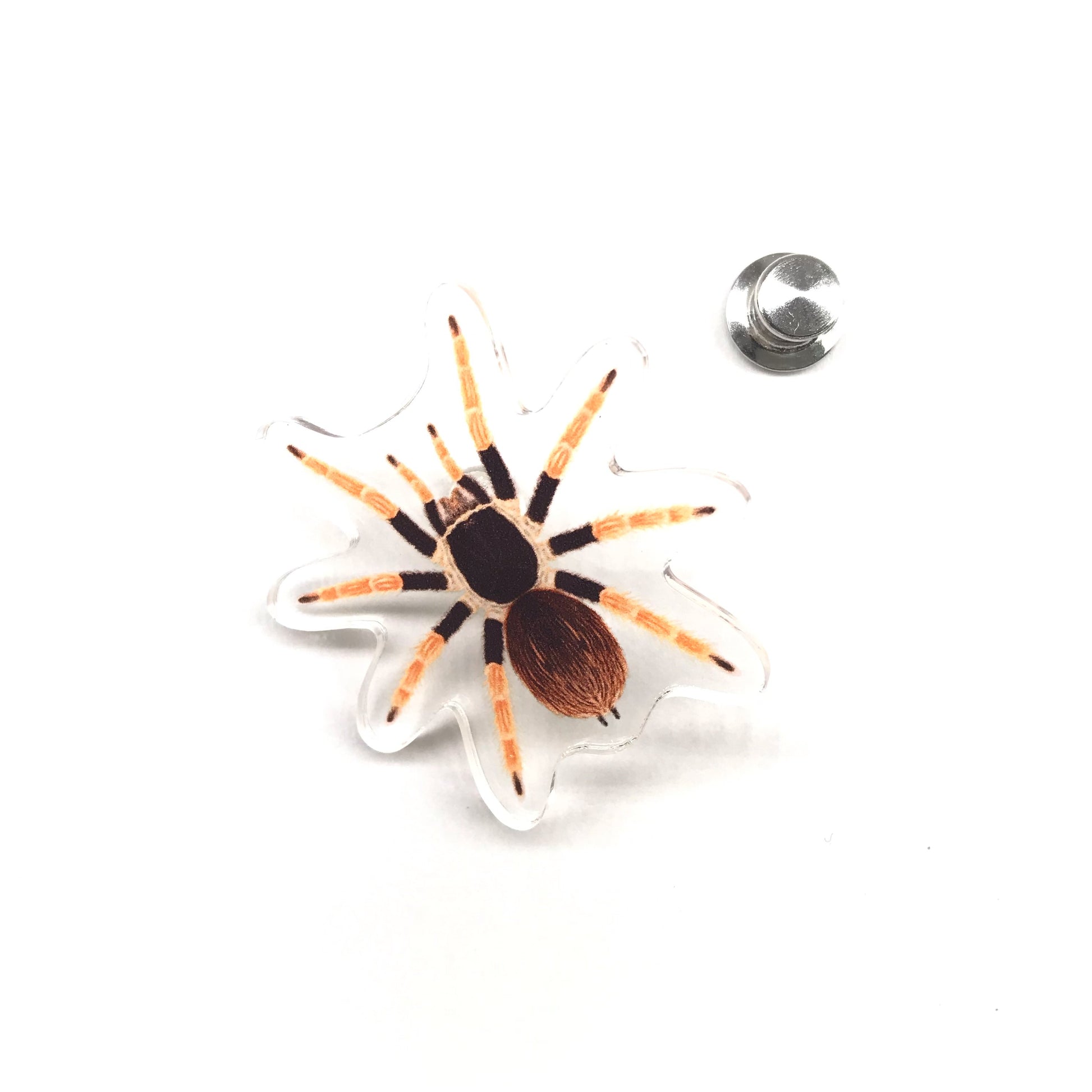 Acrylic pin featuring the Colombian Giant Redleg Tarantula (Megaphobema robustum) with detailed illustration and vibrant red leg accents.
