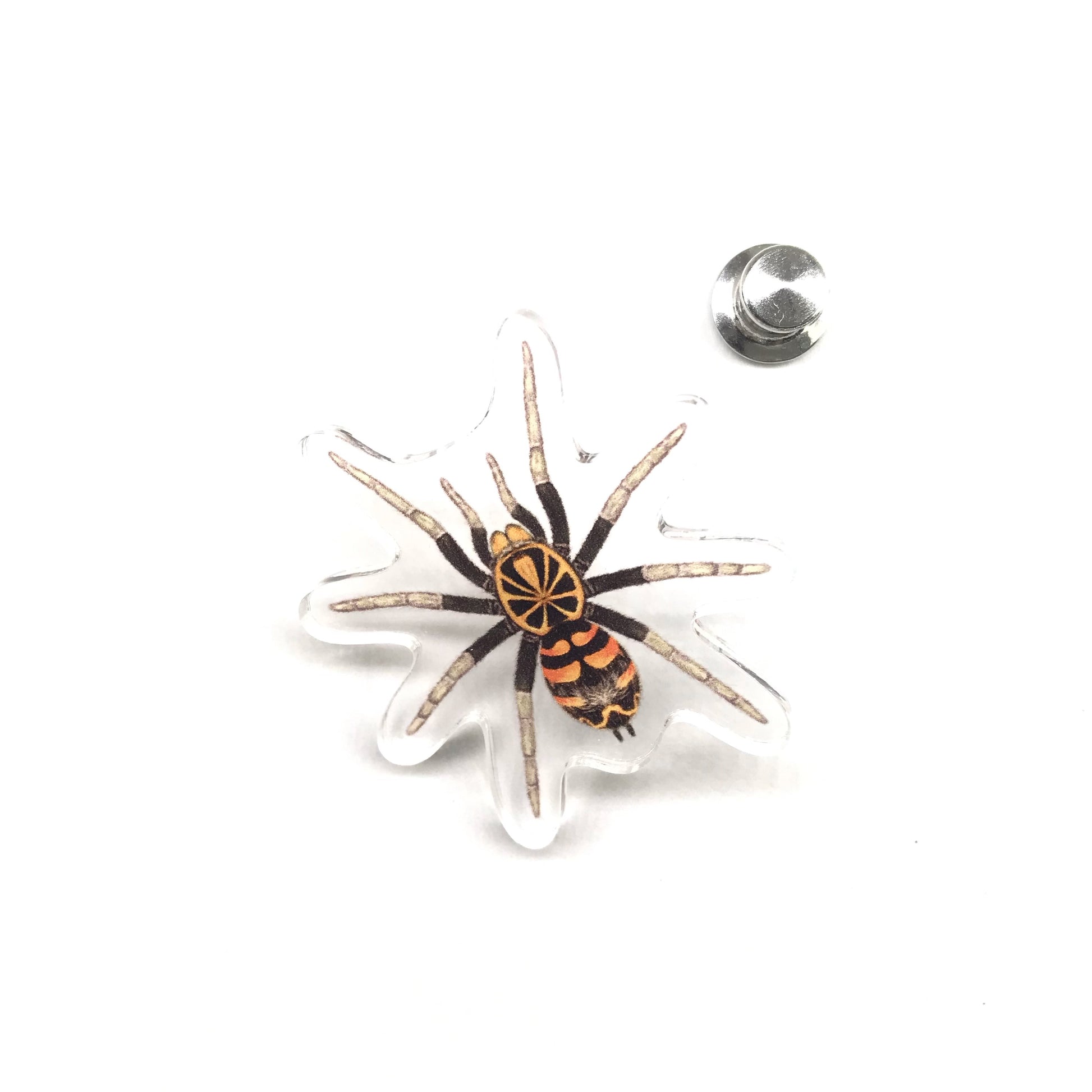 Ecuadorian Crowned Tarantula acrylic pin from The Silk Ranch, featuring detailed design of the Hapalopus planetearth species.