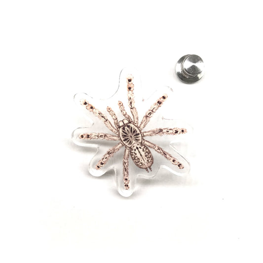 Togo Starburst Tarantula (Heteroscodra maculata) Acrylic Pin from The Silk Ranch / The Morph Archive