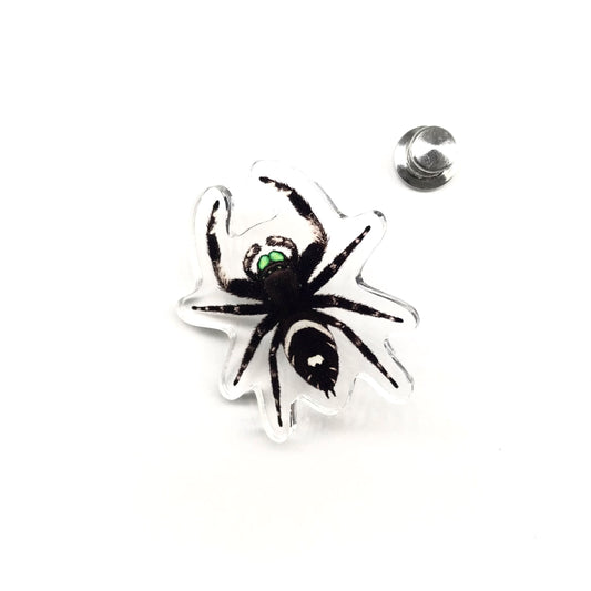 Acrylic pin featuring a Regal Jumping Spider (Phidippus regius) with detailed green, black, and white markings, from The Silk Ranch.