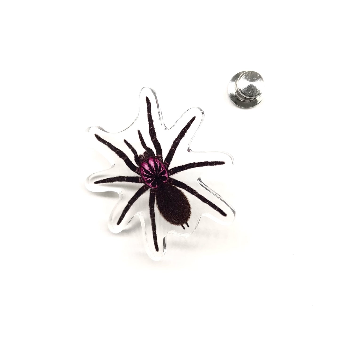 Acrylic pin featuring the Colombian Lesser Black Tarantula (Xenesthis immanis) from The Silk Ranch / The Morph Archive, detailed spider design.