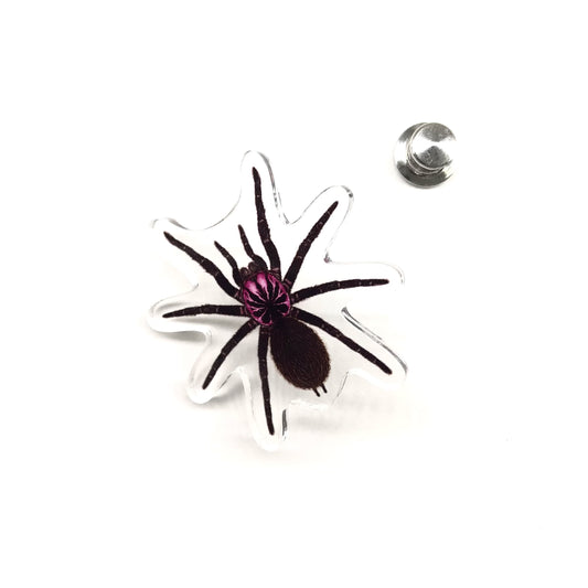 Acrylic pin featuring the Colombian Lesser Black Tarantula (Xenesthis immanis) from The Silk Ranch / The Morph Archive, detailed spider design.