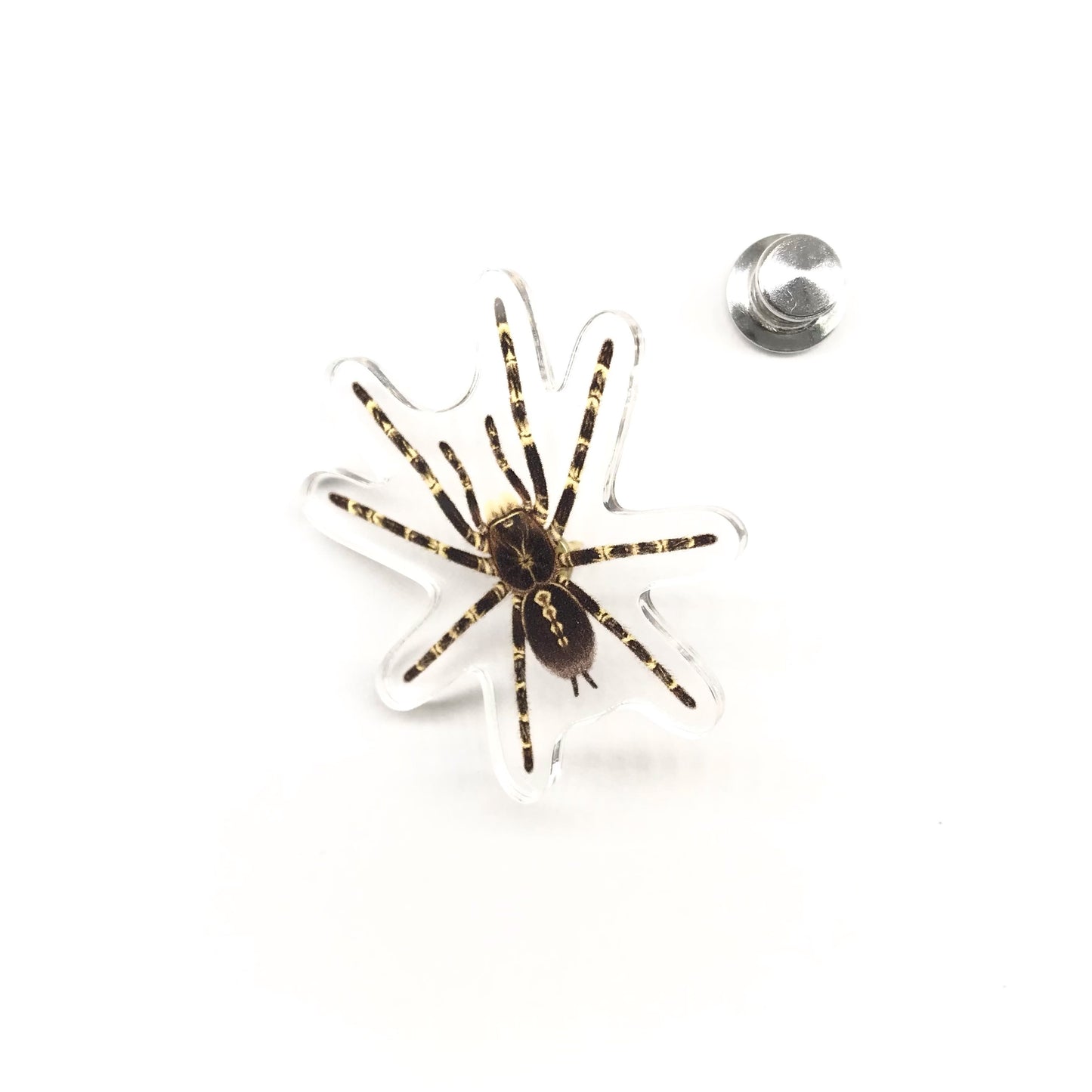 Acrylic pin featuring the Lowland Ivory Ornamental Tarantula (Poecilotheria subfusca "Lowland") with detailed black-and-white arachnid design.