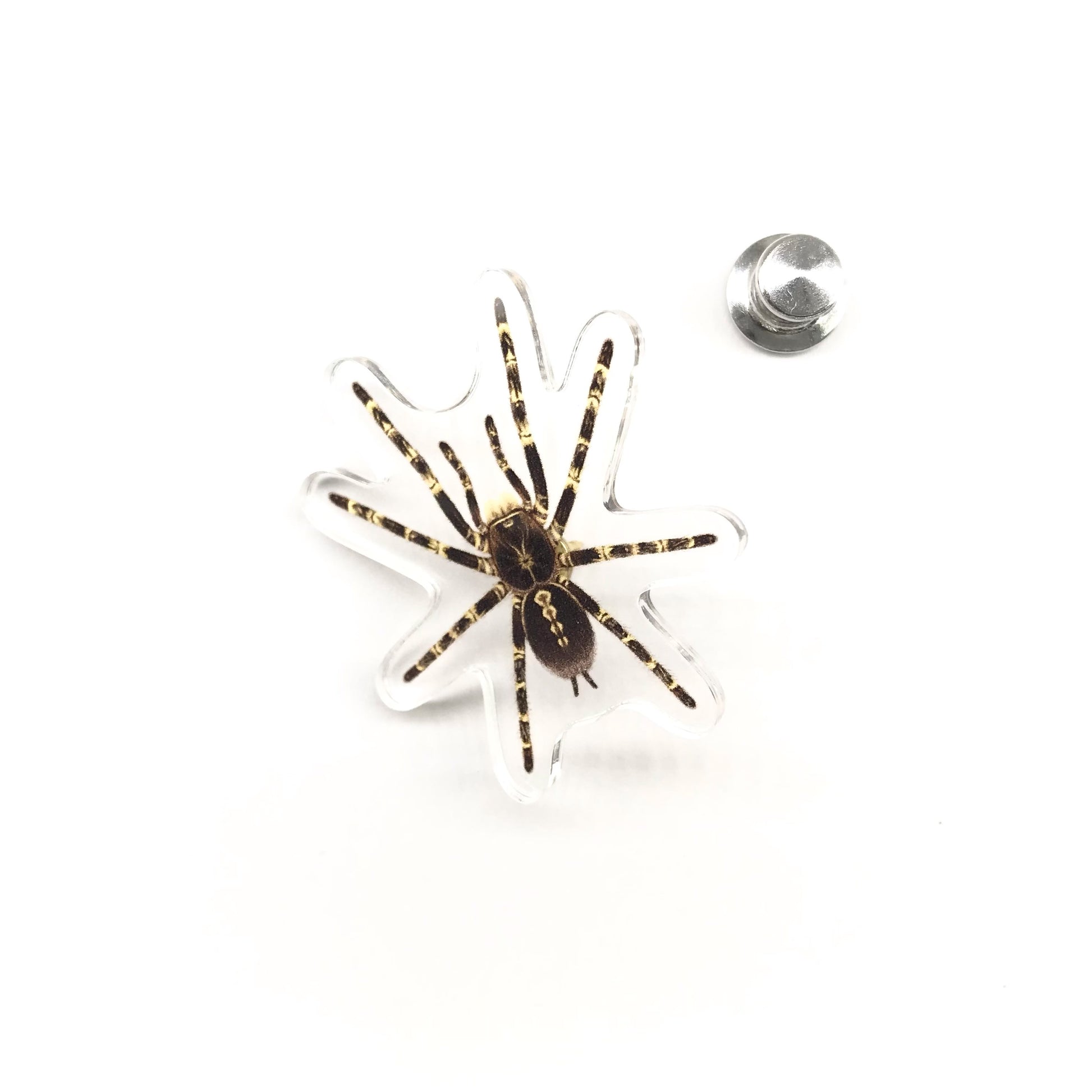 Acrylic pin featuring the Lowland Ivory Ornamental Tarantula (Poecilotheria subfusca "Lowland") with detailed black-and-white arachnid design.