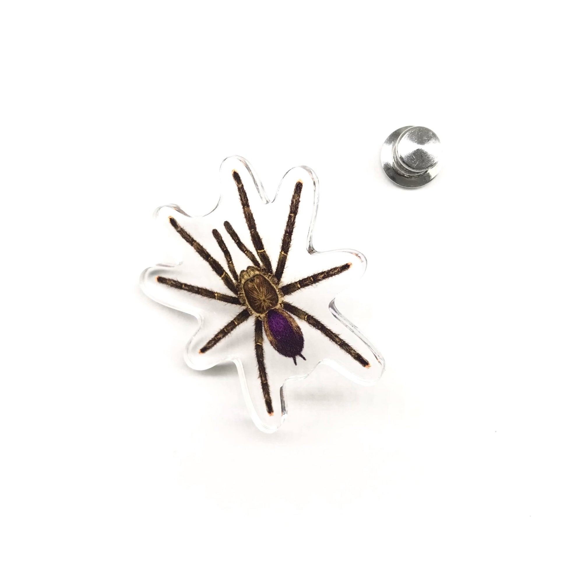 Pinktoe tarantula acrylic pin featuring a detailed illustration of the Avicularia sp. Pucallpa species, from The Silk Ranch/The Morph Archive.
