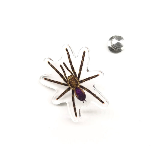 Mardi Gras Pinktoe Tarantula (Avicularia sp. Pucallpa) Acrylic Pin from The Silk Ranch / The Morph Archive