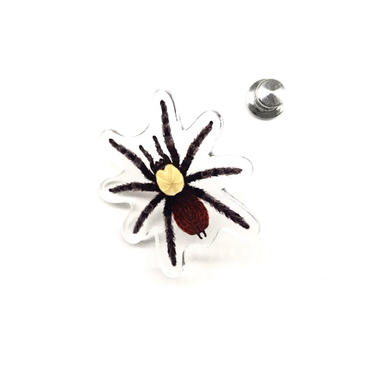 Golden Red Rump Tarantula (Brachypelma albiceps) Acrylic Pin from The Silk Ranch / The Morph Archive