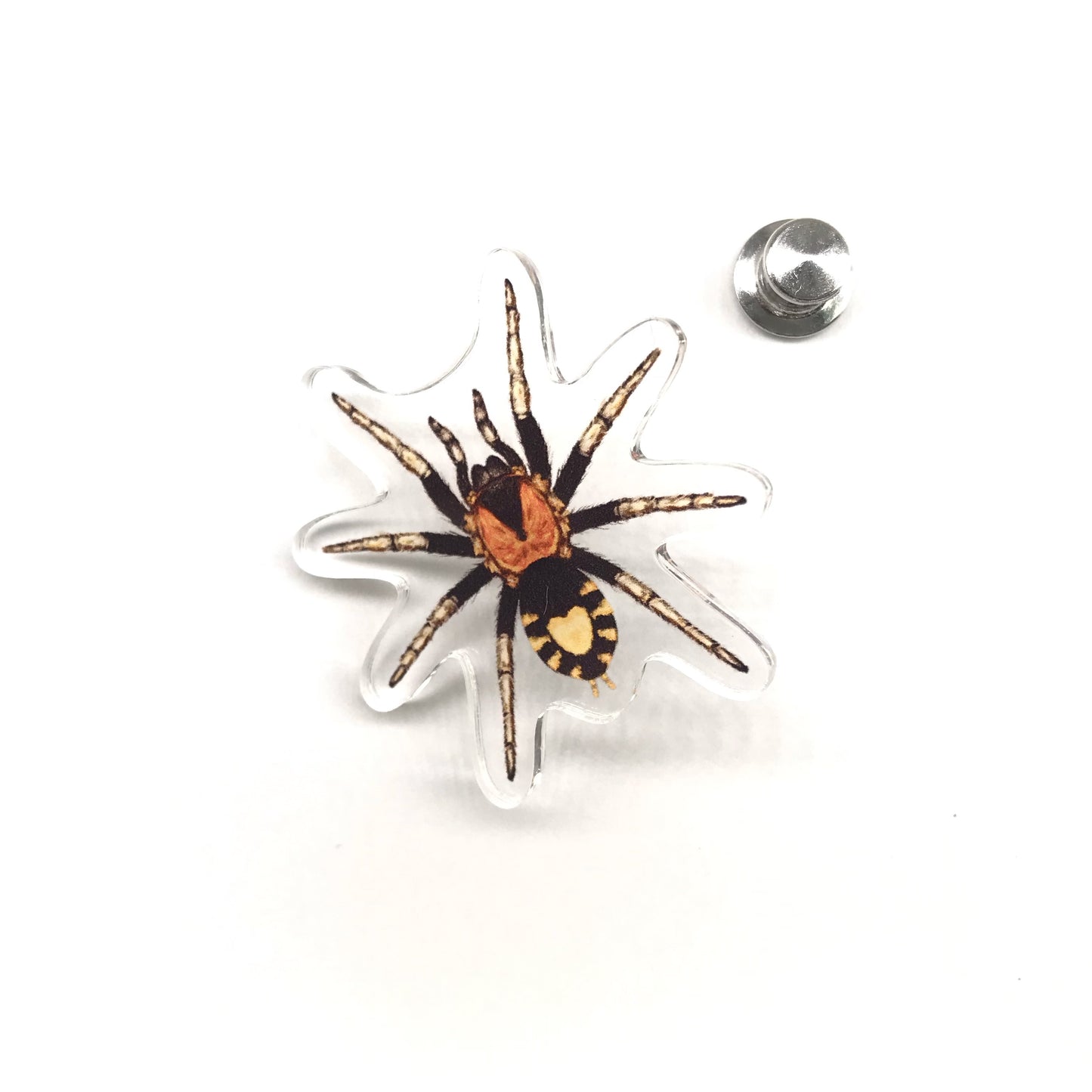 Acrylic pin featuring a Trinidad Dwarf Tarantula (Cyriocosmus elegans) with detailed illustration, displayed on a black background.