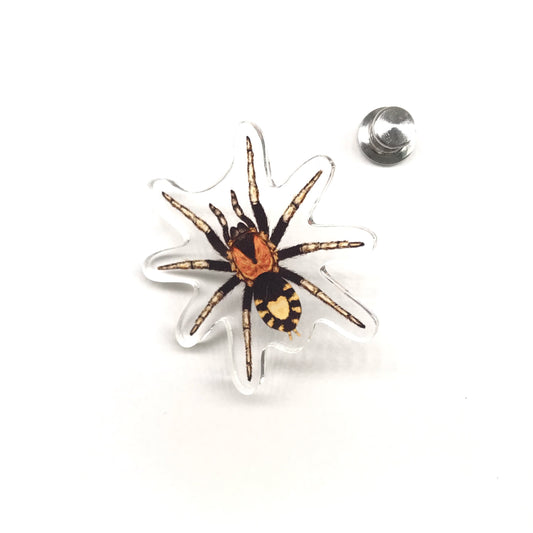 Trinidad Dwarf Tarantula (Cyriocosmus elegans) Acrylic Pin from The Silk Ranch / The Morph Archive