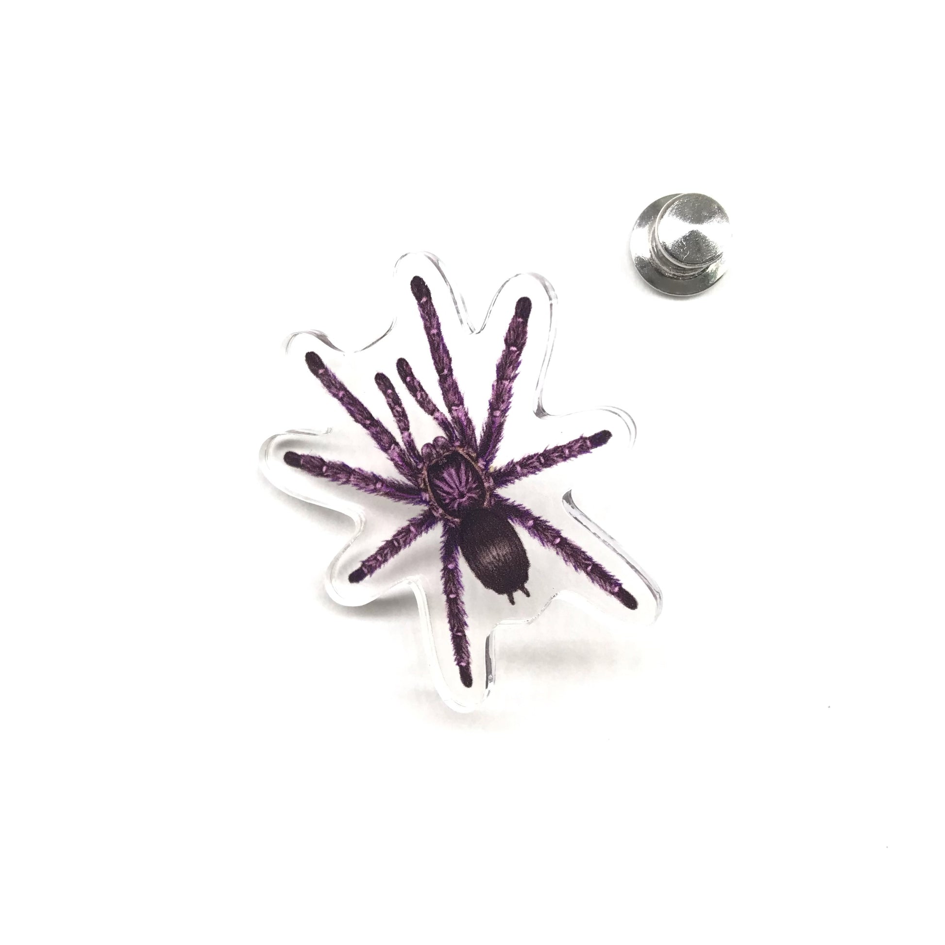 Acrylic pin featuring a purple pinktoe tarantula (Avicularia purpurea) with detailed pink and purple coloring, created by The Silk Ranch.