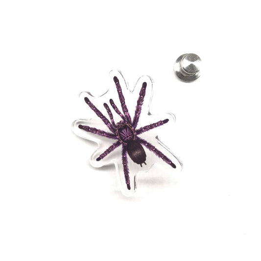 Purple Pinktoe Tarantula (Avicularia purpurea) Acrylic Pin from The Silk Ranch / The Morph Archive