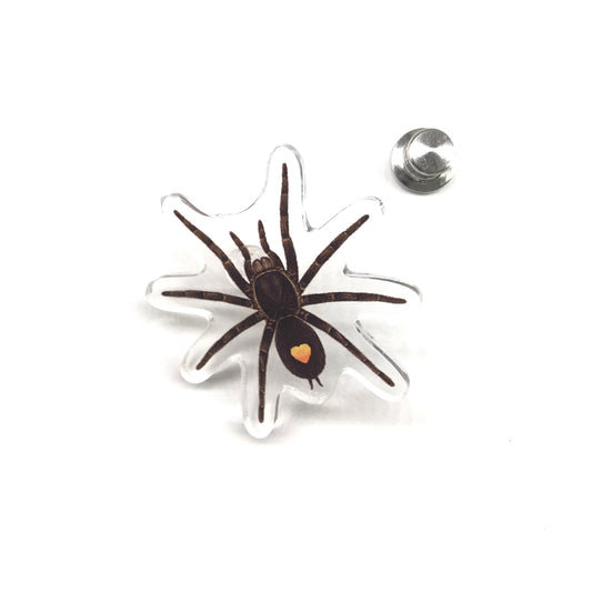 Golden Heart Dwarf Tarantula (Cyriocosmus sp. Oronegro) Acrylic Pin from The Silk Ranch / The Morph Archive