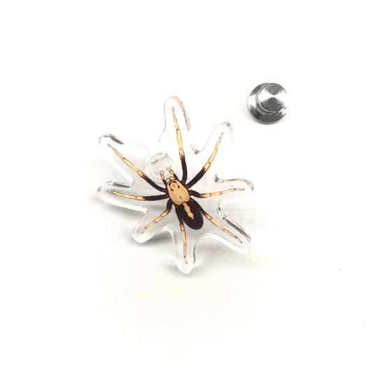 Two-toned Wolf Spider (Hoggicosa bicolor) Acrylic Pin from The Silk Ranch / The Morph Archive