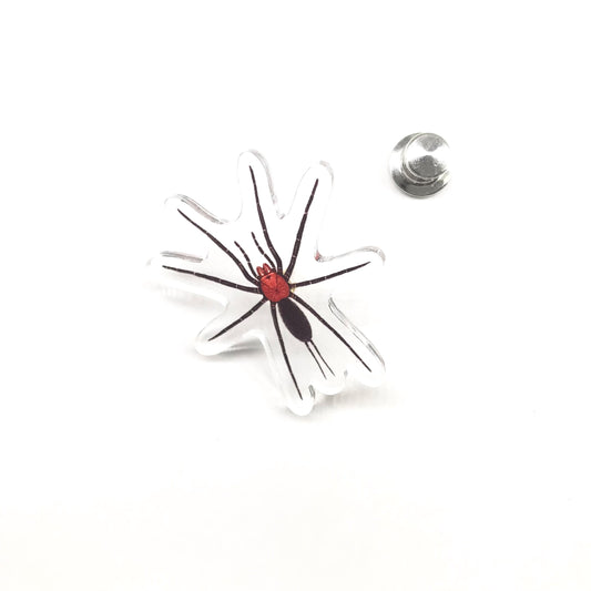 Devil’s Curtain Web Spider (Harmonicon oiapoqueae) Acrylic Pin from The Silk Ranch / The Morph Archive