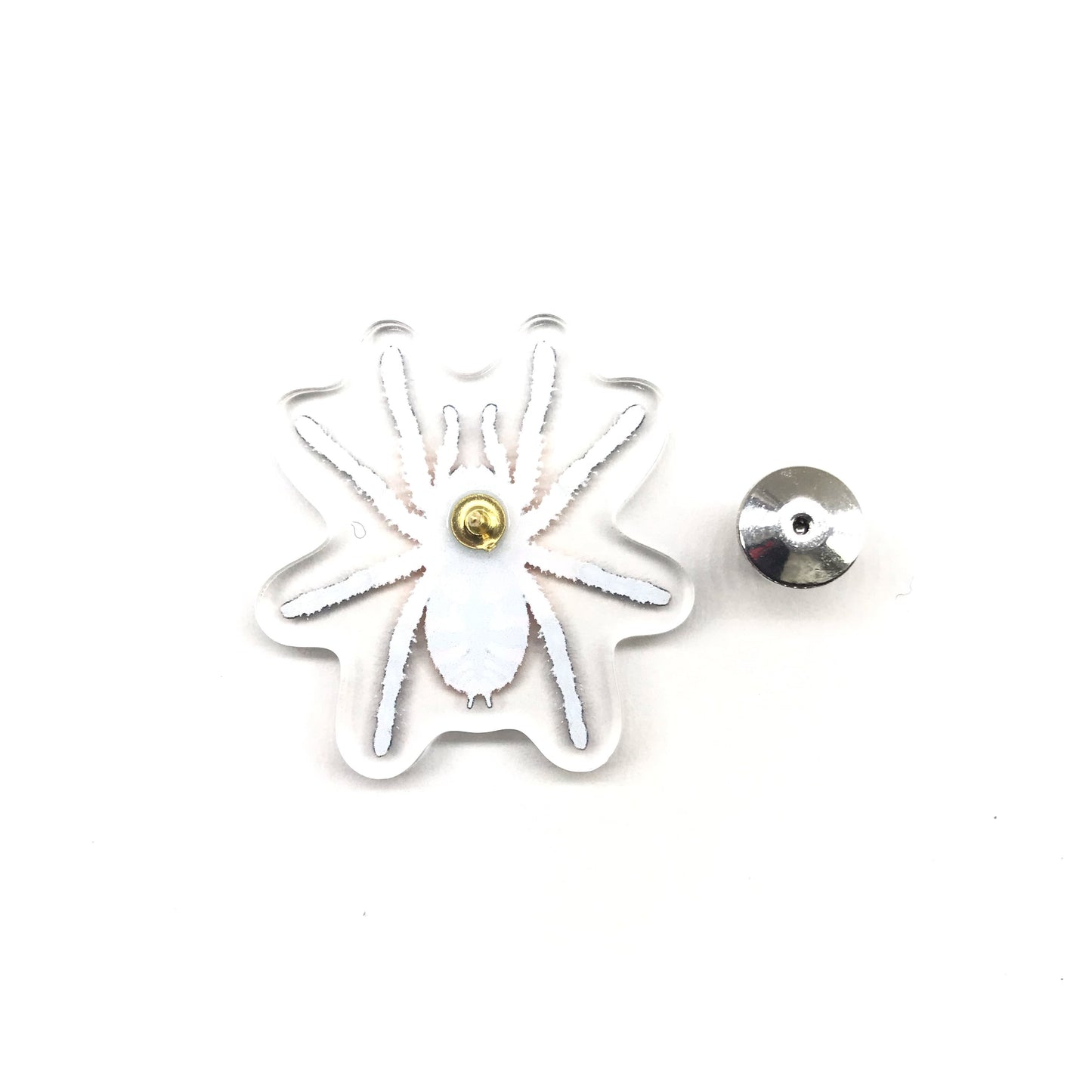 Amma Jewel Tarantula (Typhochlaena amma) Acrylic Pin from The Silk Ranch / The Morph Archive