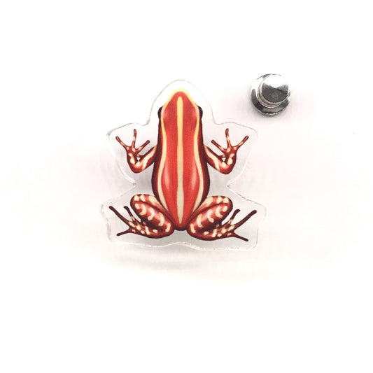 Anthony’s Poison Arrow Frog acrylic pin by The Silk Ranch, featuring vibrant green and black colors of Epipedobates anthonyi Santa Isabel
