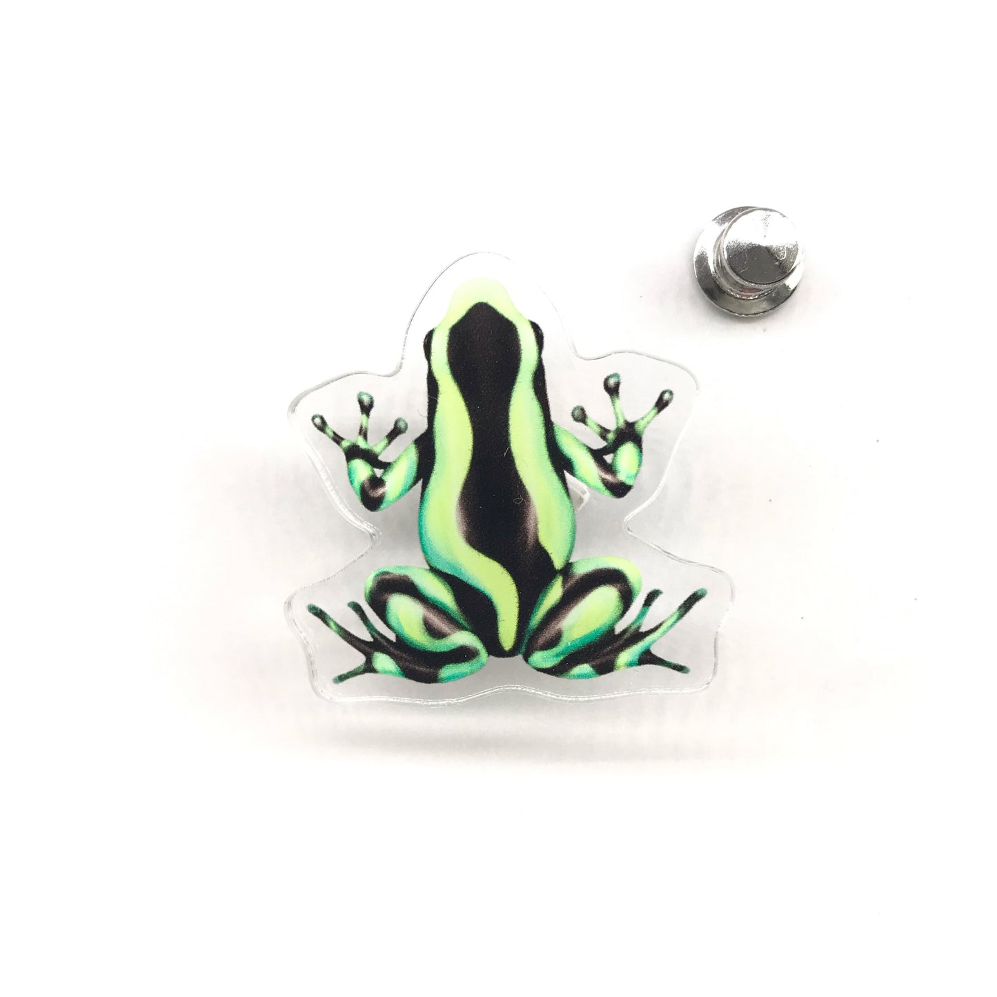 Colombian green and blue poison dart frog acrylic pin from The Silk Ranch, featuring detailed green and blue frog artwork.