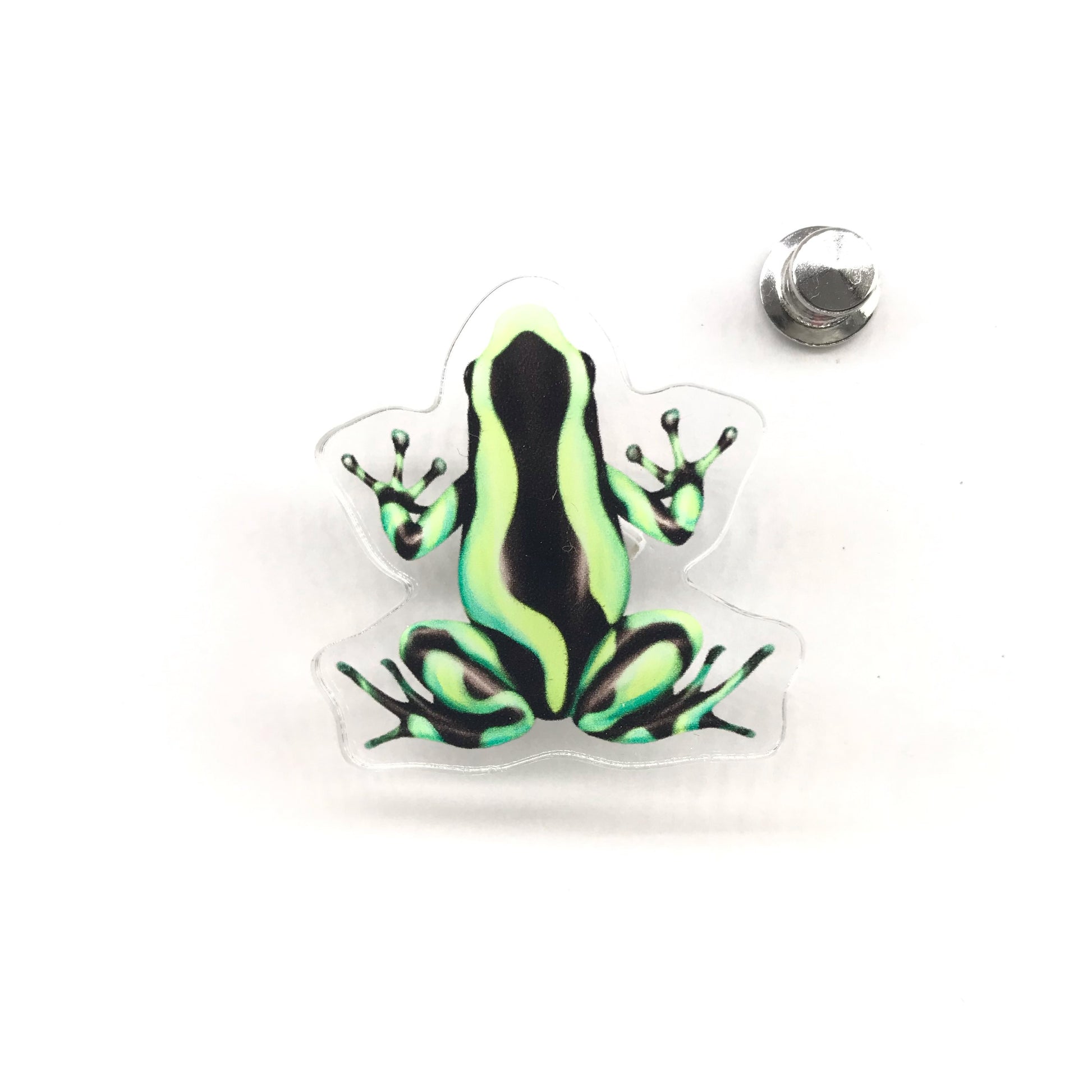 Colombian green and blue poison dart frog acrylic pin from The Silk Ranch, featuring detailed green and blue frog artwork.