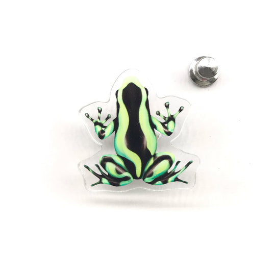 Colombian green and blue poison dart frog acrylic pin from The Silk Ranch, featuring detailed green and blue frog artwork.