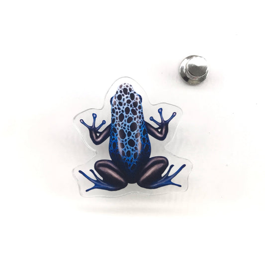Acrylic pin featuring the Azureus Dyeing Poison Dart Frog (Dendrobates tinctorius “azureus”) with vibrant blue and black markings.