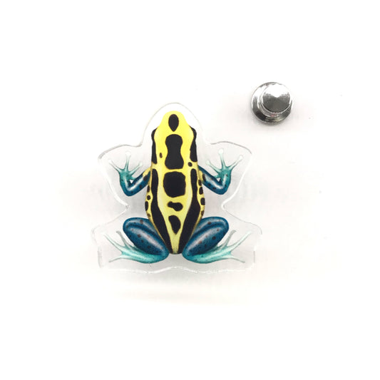 Patricia Dyeing Poison Dart Frog (Dendrobates tinctorius) Acrylic Pin from The Silk Ranch / The Morph Archive