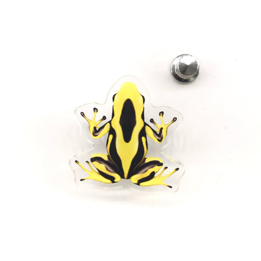 La Fumee Dyeing Poison Dart Frog (Dendrobates tinctorius) Acrylic Pin from The Silk Ranch / The Morph Archive