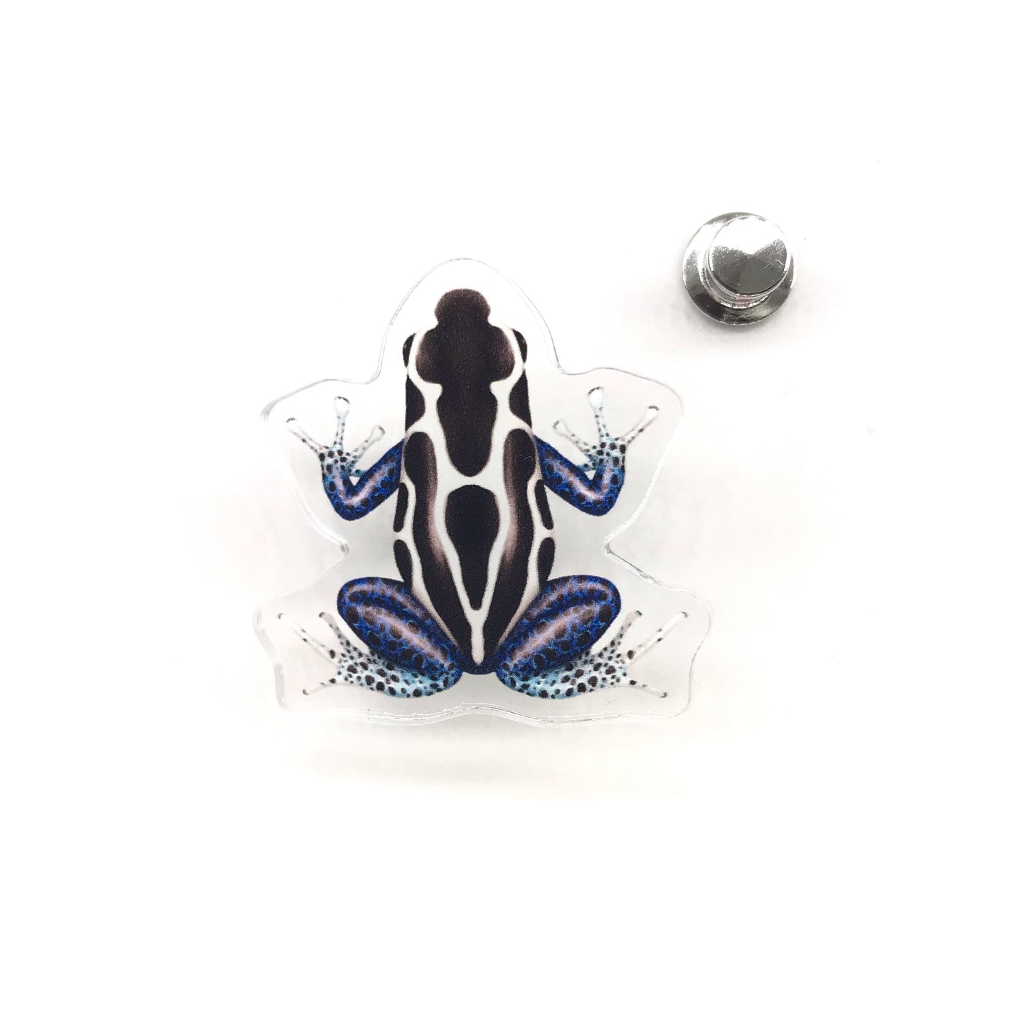 Oyapock Dyeing Poison Dart Frog acrylic pin by The Silk Ranch featuring vibrant Dendrobates tinctorius with detailed artwork.