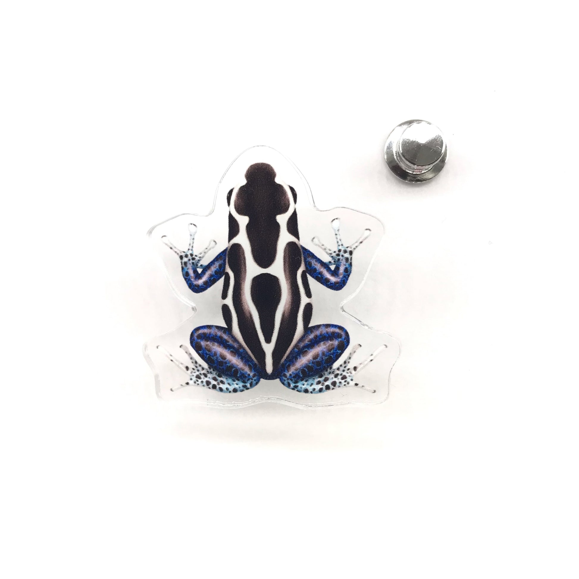 Oyapock Dyeing Poison Dart Frog acrylic pin by The Silk Ranch featuring vibrant Dendrobates tinctorius with detailed artwork.