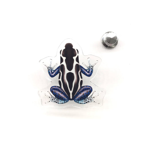 Oyapock Dyeing Poison Dart Frog acrylic pin by The Silk Ranch featuring vibrant Dendrobates tinctorius with detailed artwork.