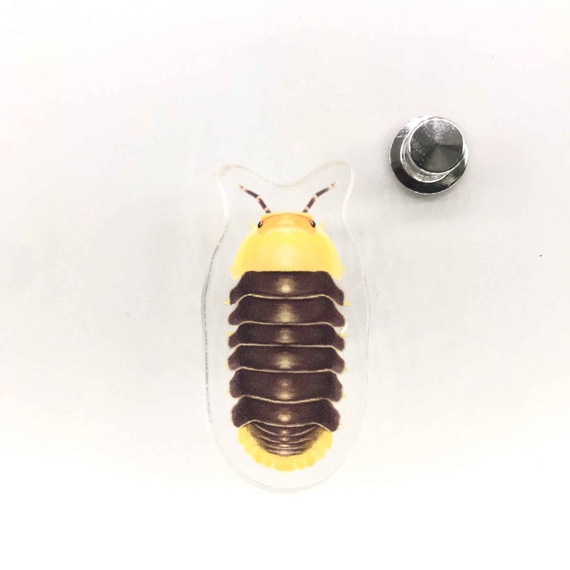 Acrylic pin featuring a Rubber Ducky Isopod (Cubaris sp. Rubber Ducky) with detailed orange and black coloration, from The Silk Ranch.