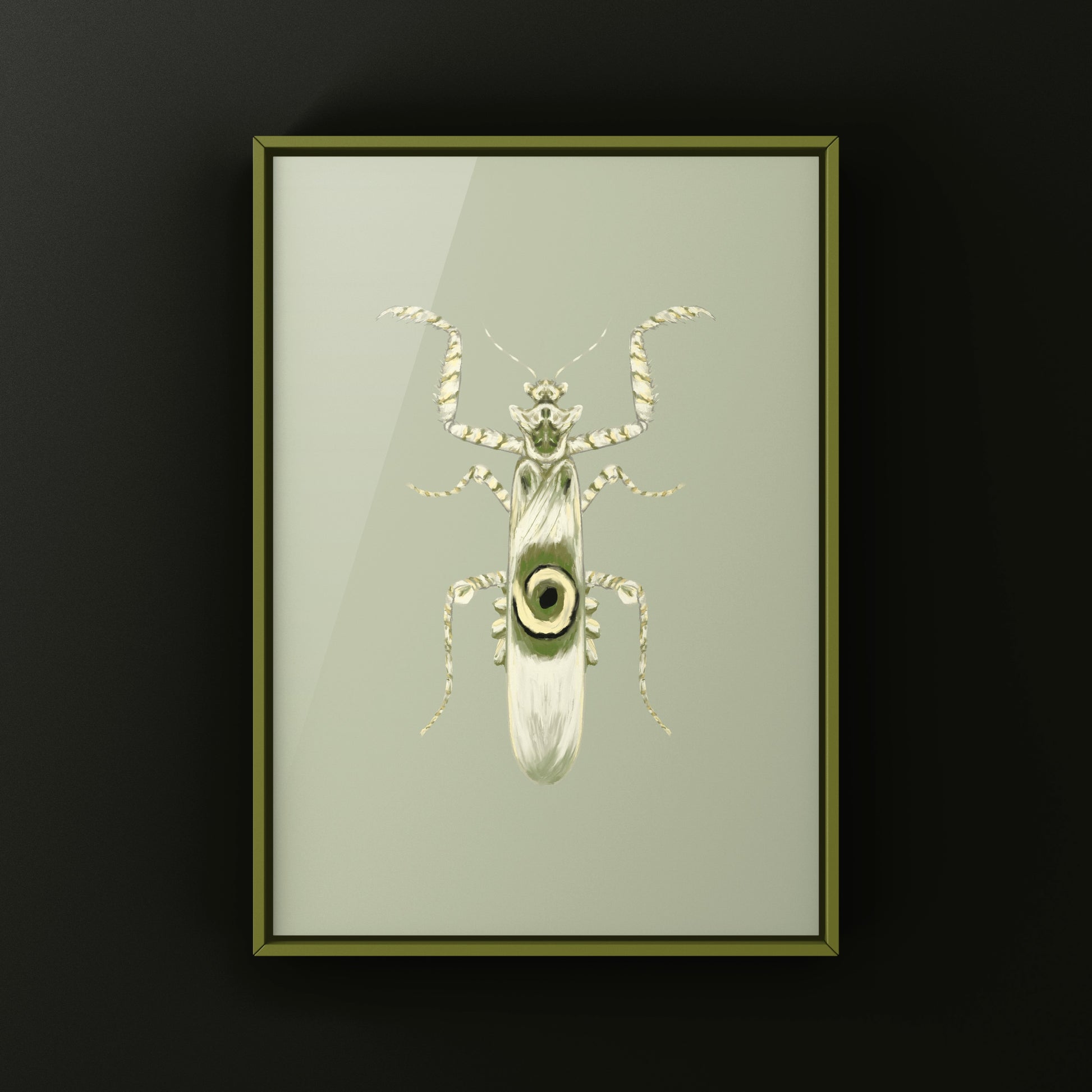 Spiny Flower Mantis (Pseudocreobotra wahlbergi) Art Print from The Silk Ranch