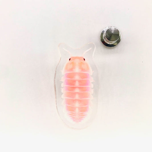 Cherry Blossom Isopod (Cubaris sp. Cherry Blossom) Acrylic Pin from The Silk Ranch / The Morph Archive