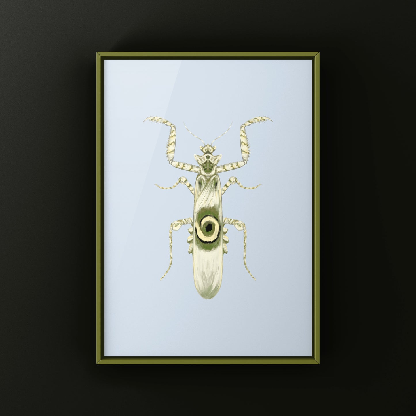 Spiny Flower Mantis (Pseudocreobotra wahlbergi) Art Print from The Silk Ranch