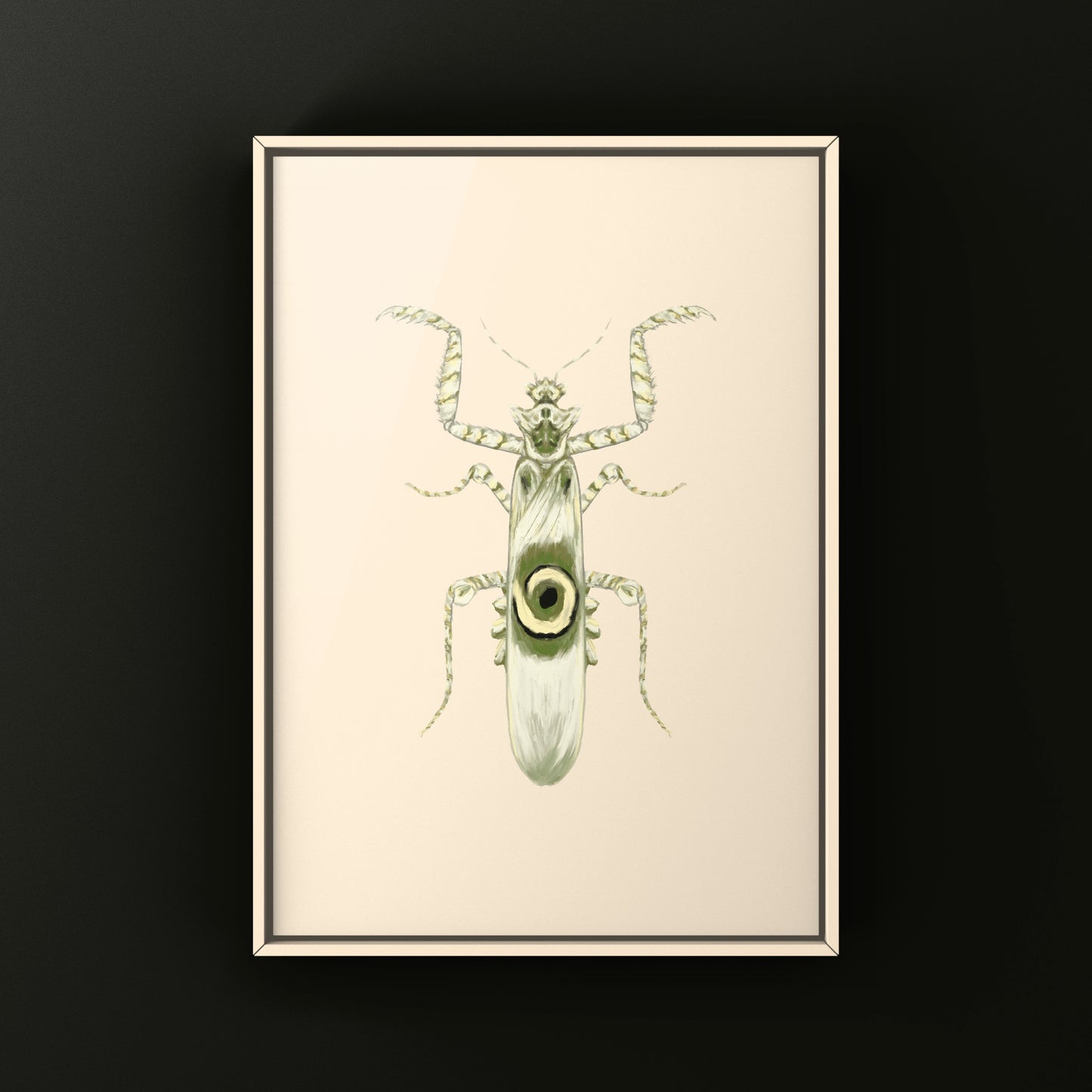Spiny Flower Mantis (Pseudocreobotra wahlbergi) Art Print from The Silk Ranch