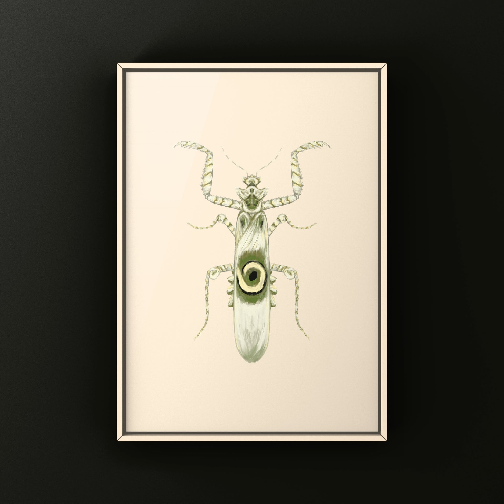 Spiny Flower Mantis (Pseudocreobotra wahlbergi) Art Print from The Silk Ranch