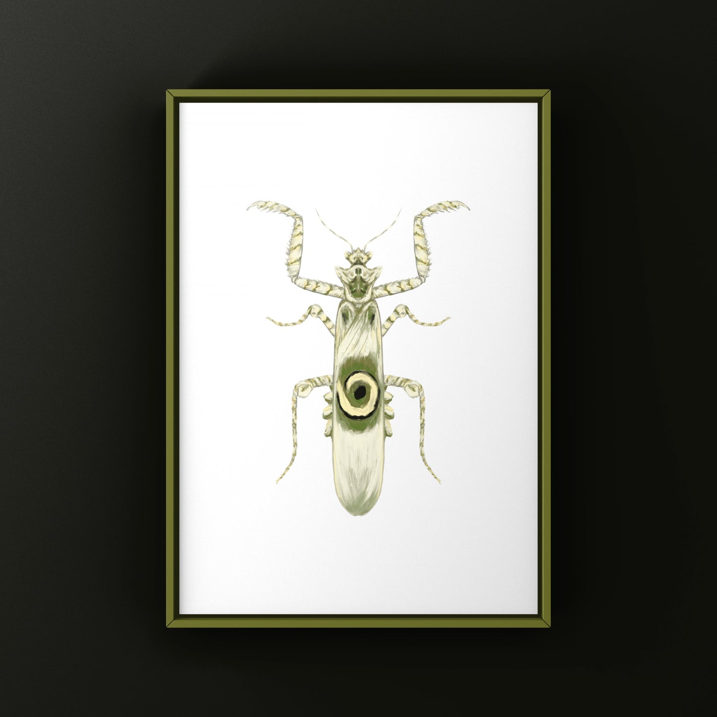 Spiny Flower Mantis (Pseudocreobotra wahlbergi) Art Print from The Silk Ranch