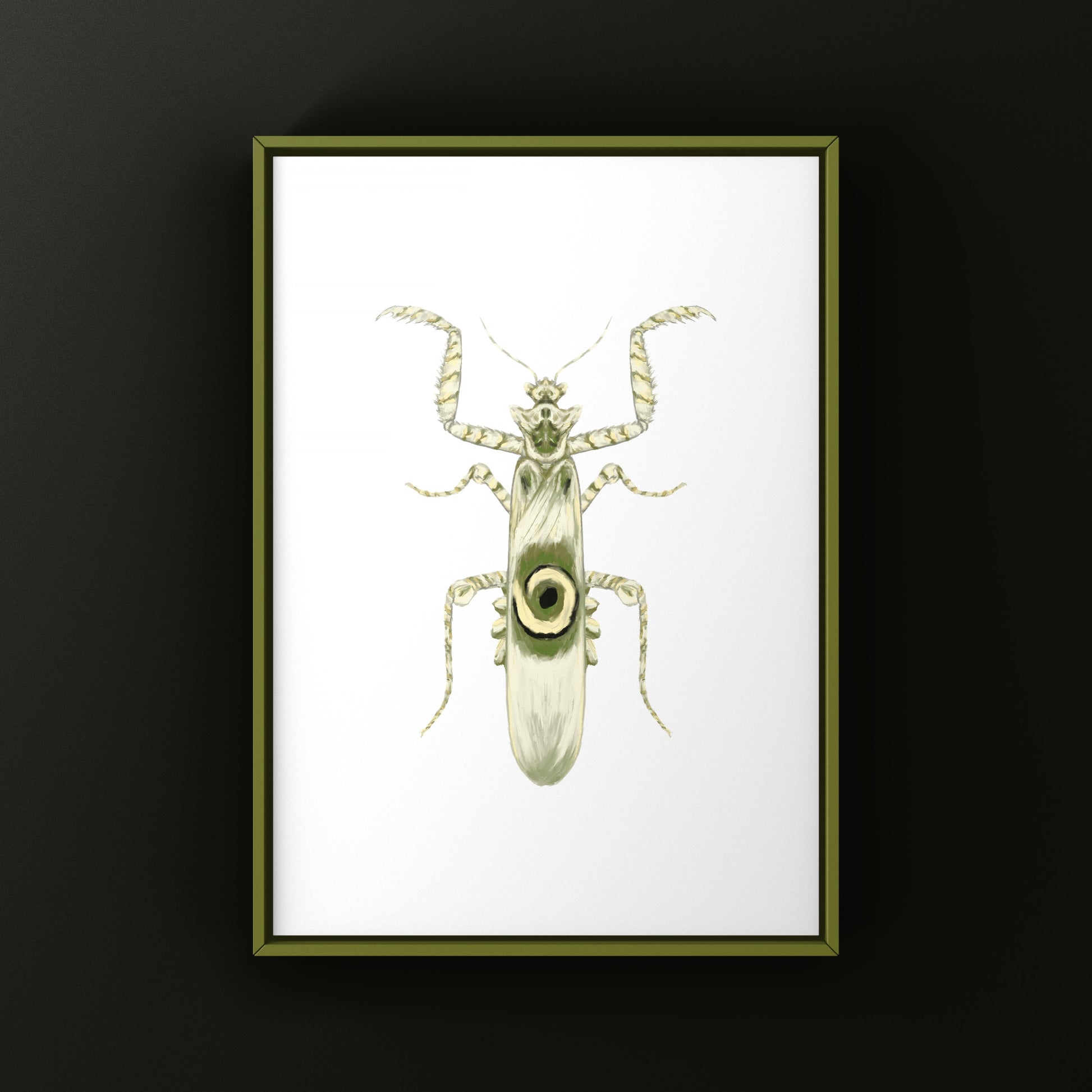 Spiny Flower Mantis (Pseudocreobotra wahlbergi) Art Print from The Silk Ranch
