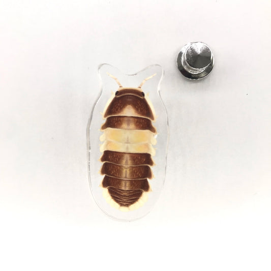 Acrylic pin featuring a Cappuccino Isopod (Cubaris sp. Cappuccino) from The Silk Ranch / The Morph Archive with detailed design.