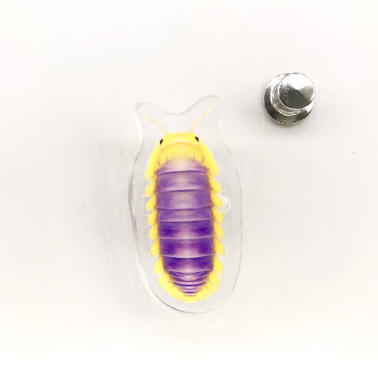 Lemon Blue Isopod (Cubaris sp. Lemon Blue) Acrylic Pin from The Silk Ranch / The Morph Archive