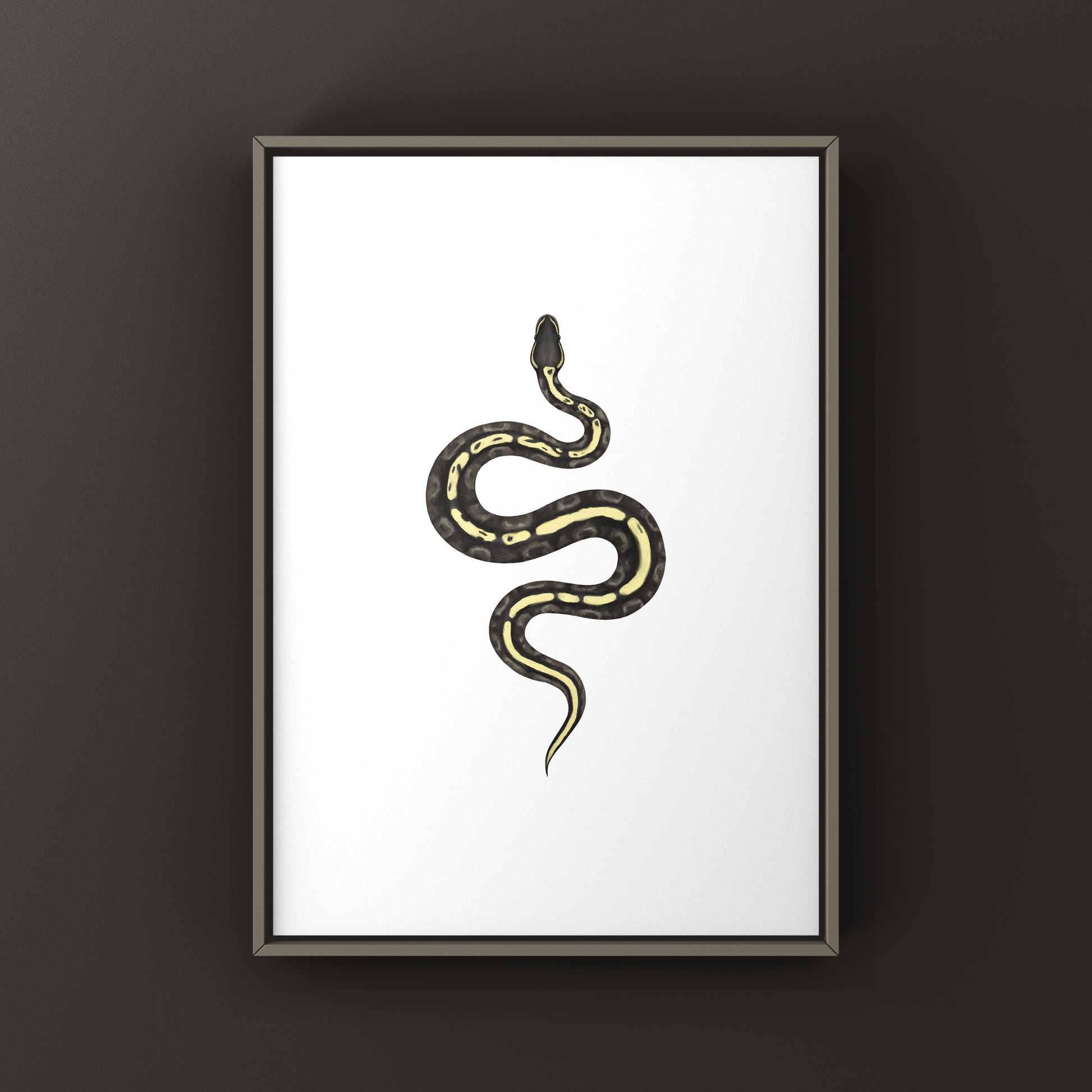 GHI Mojave Ball Python Art Print from The Silk Ranch