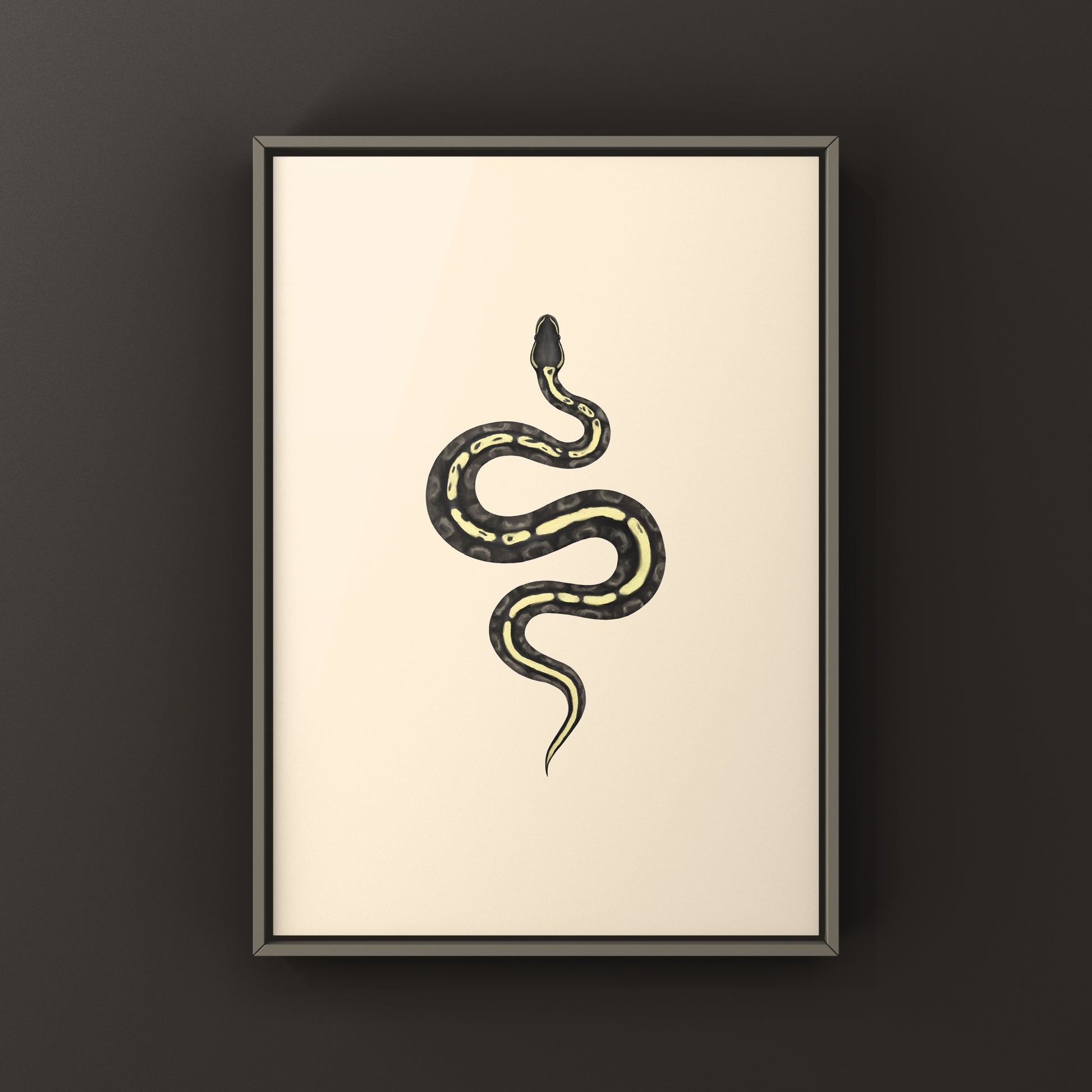 GHI Mojave Ball Python Art Print from The Silk Ranch