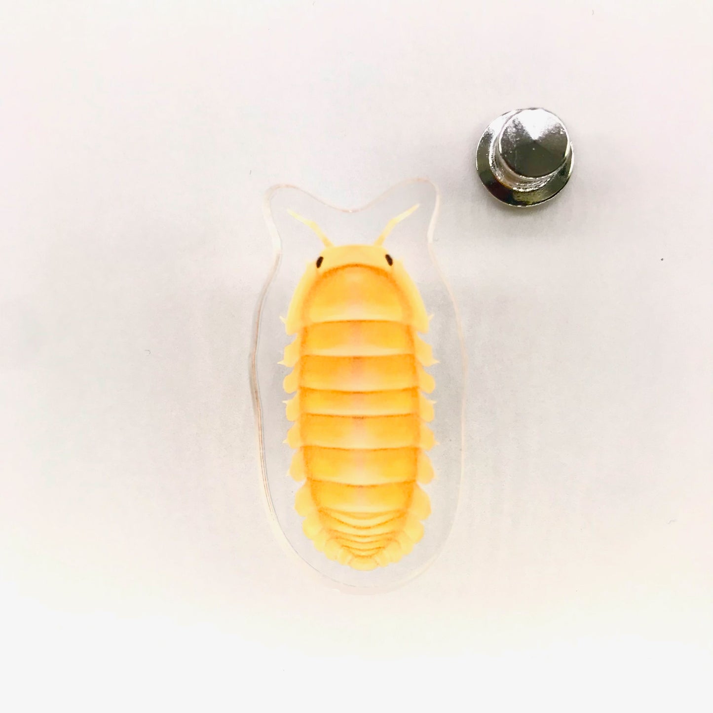 Acrylic pin featuring a Papaya Isopod (Cubaris murina “Papaya”) with detailed design, from The Silk Ranch / The Morph Archive.
