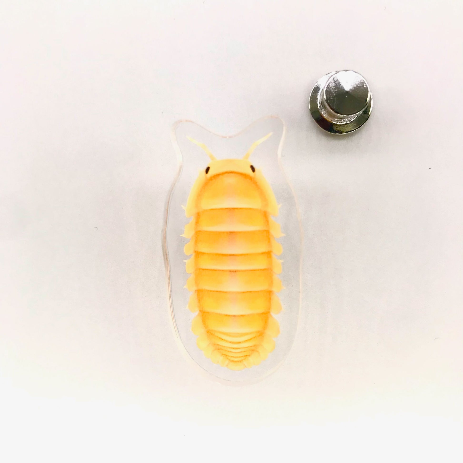 Acrylic pin featuring a Papaya Isopod (Cubaris murina “Papaya”) with detailed design, from The Silk Ranch / The Morph Archive.