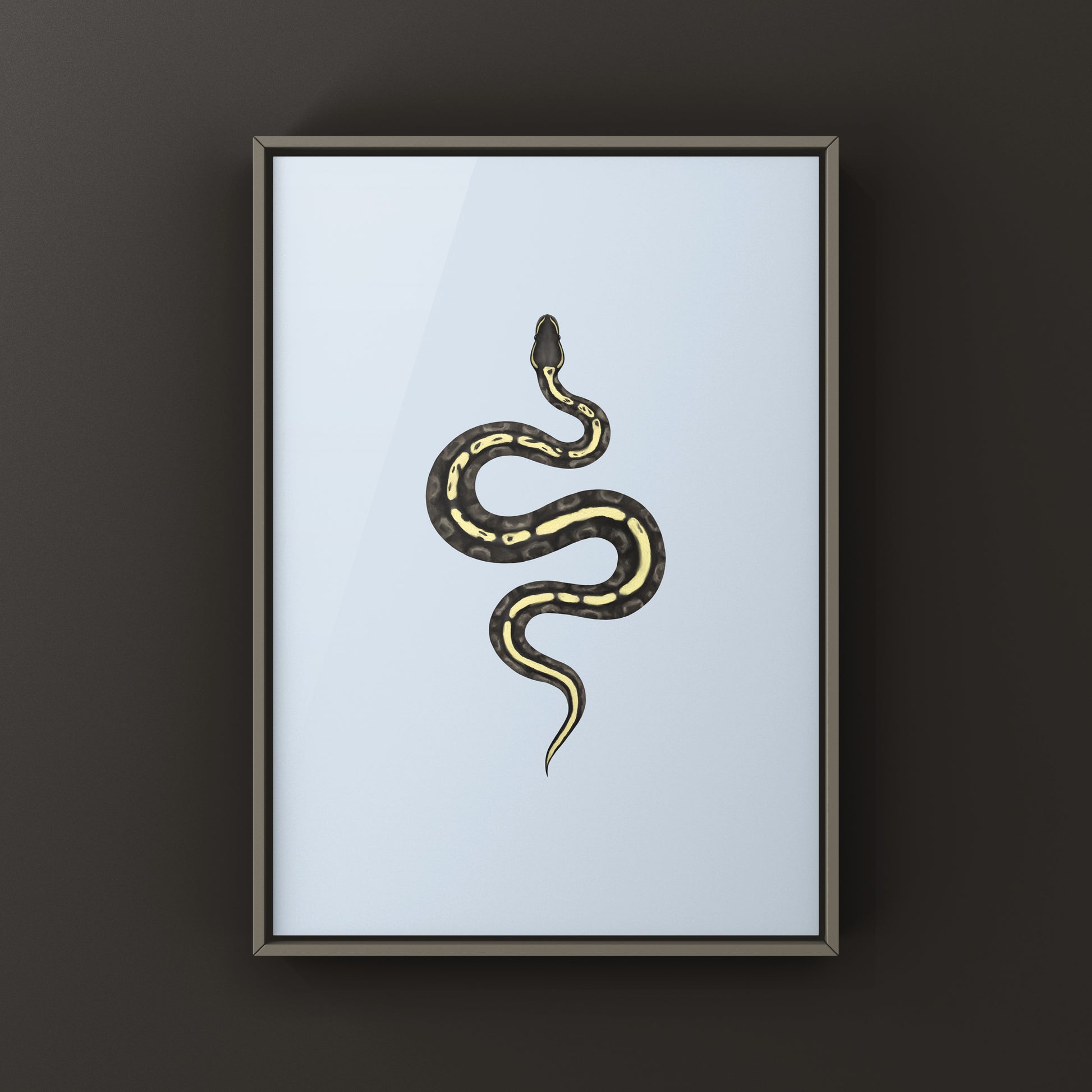 GHI Mojave Ball Python Art Print from The Silk Ranch