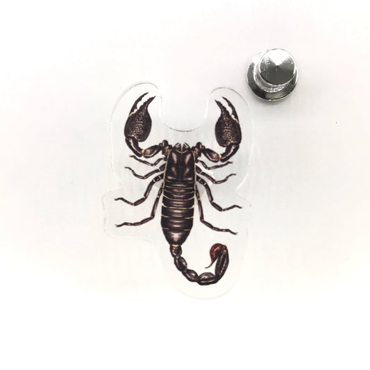 Emperor Scorpion (Pandinus imperator) Acrylic Pin from The Silk Ranch / The Morph Archive